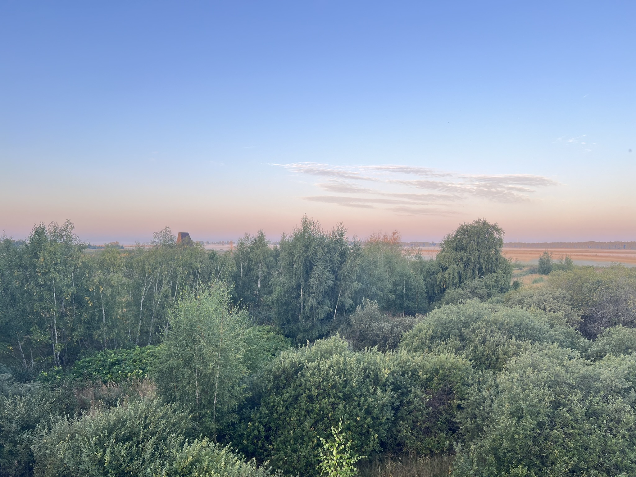 CollinCreative Coaching og facilitering