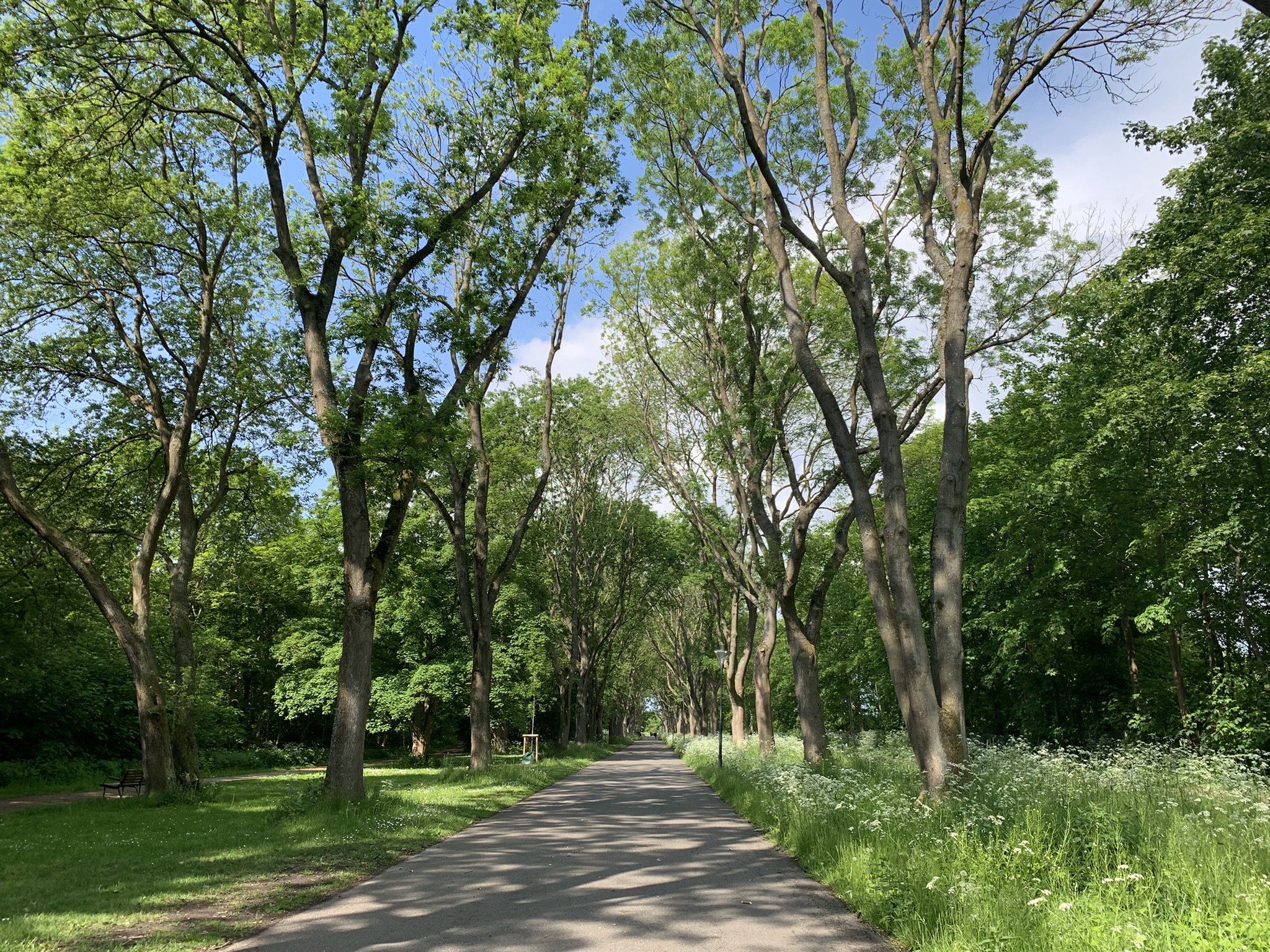 CollinCreative Coaching og facilitering